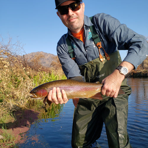 Putah Creek Fly Fishing Report