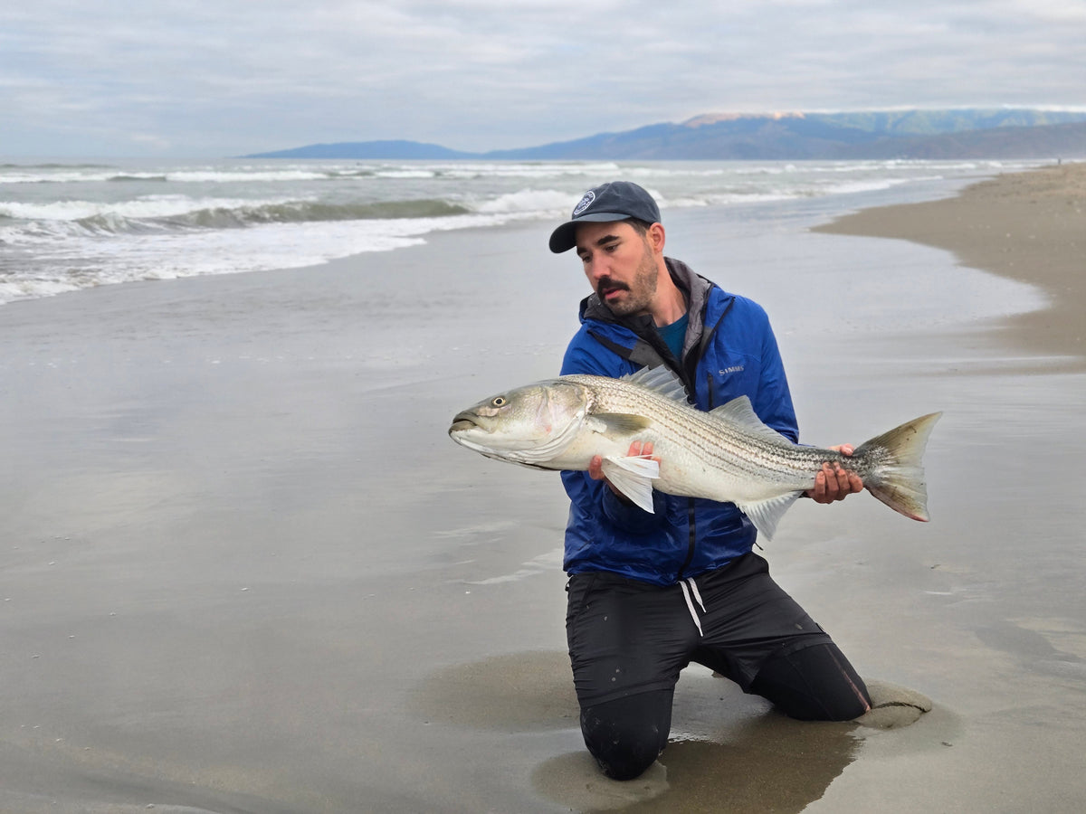Cracking the Code: Fly Fishing for Stripers in the Surf