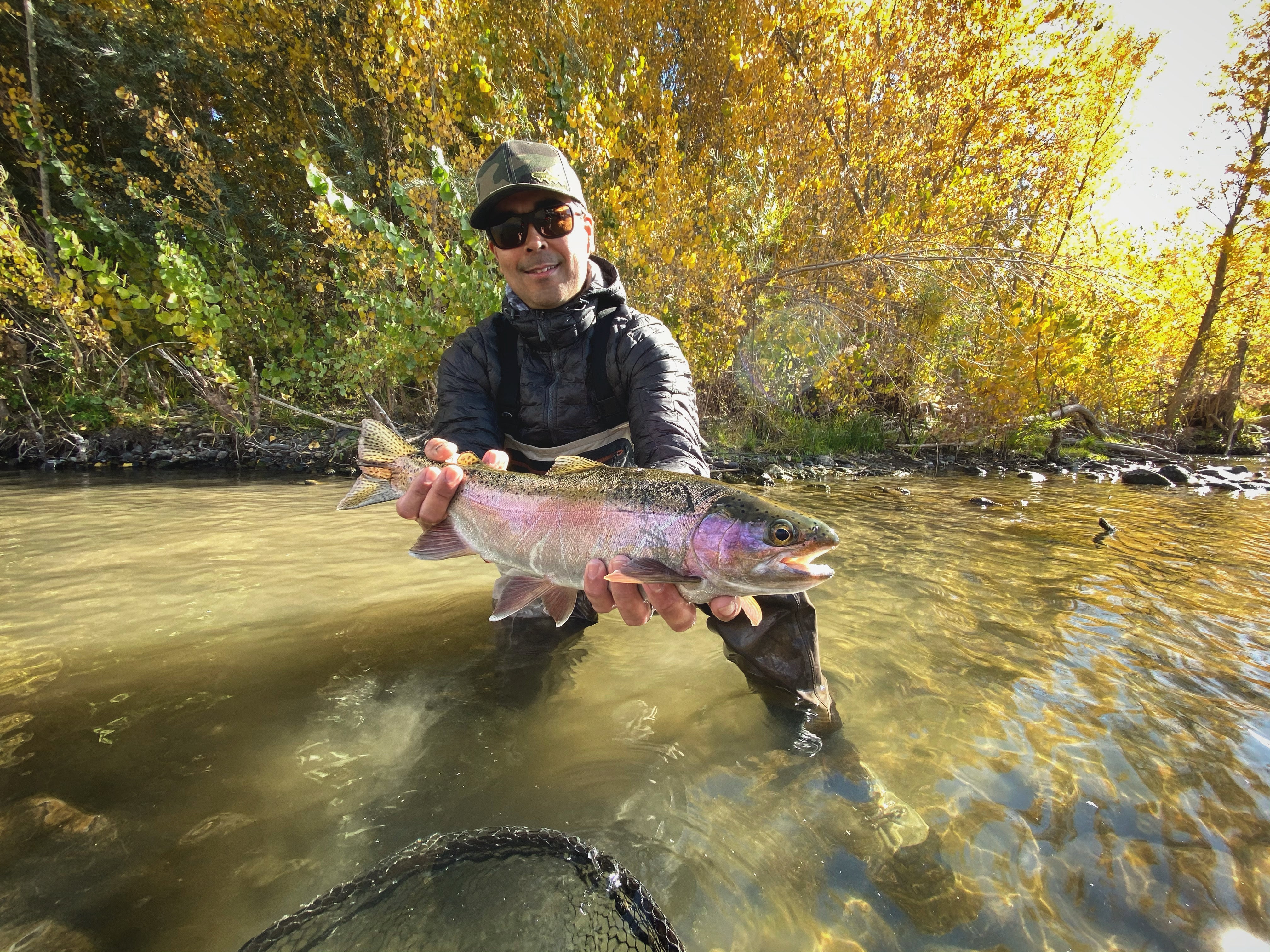 Truckee River Fly Fishing Report
