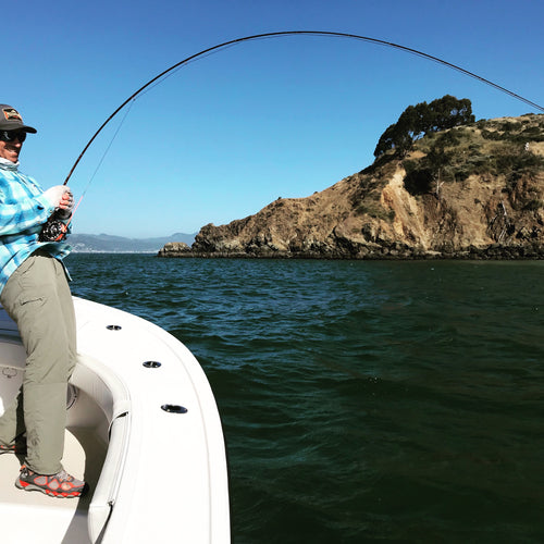 Local Bay and Surf Report