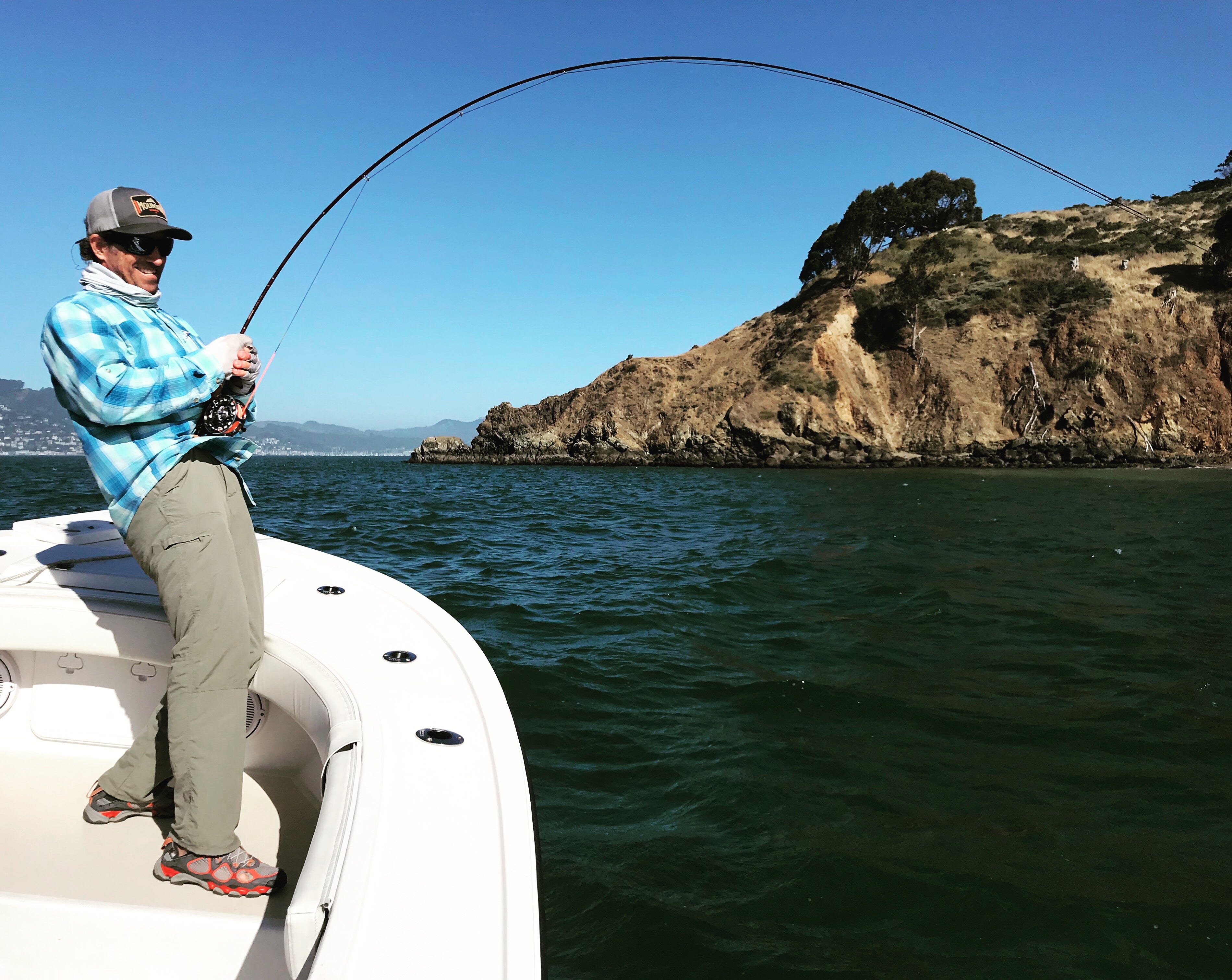 Local Bay and Surf Report