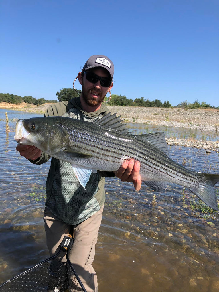 Lower American River Fly Fishing Report