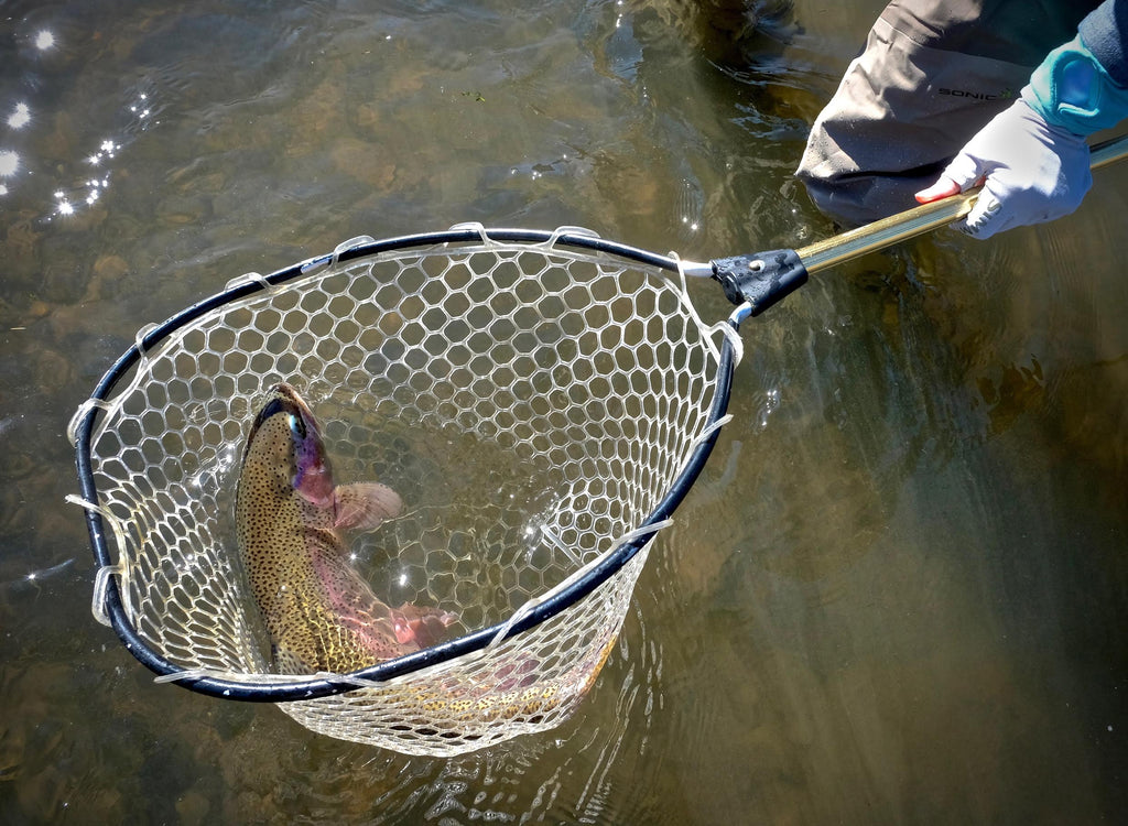 Truckee River Fly Fishing Report