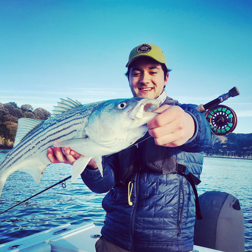 San Francisco Bay Fly Fishing Report