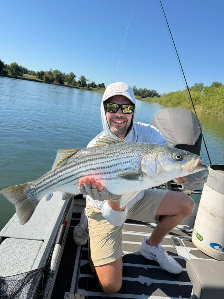 Lower Sac Striper Fly Fishing Report