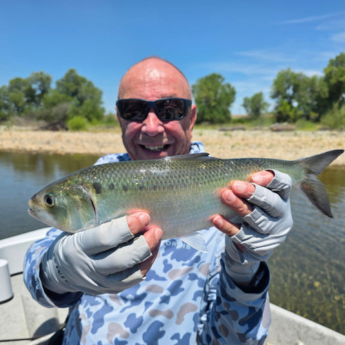 Lower Yuba Fly Fishing Report
