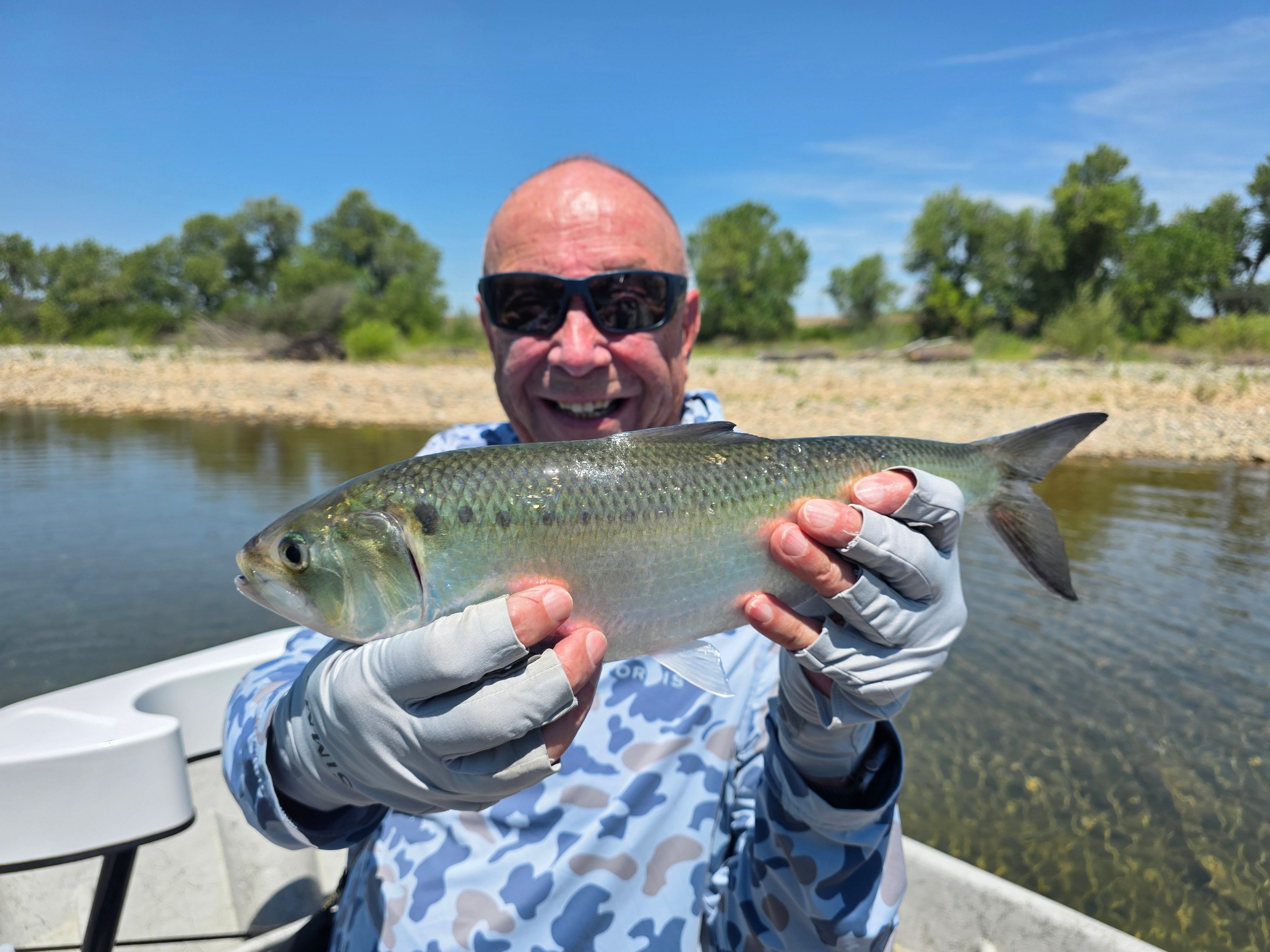Lower Yuba Fly Fishing Report
