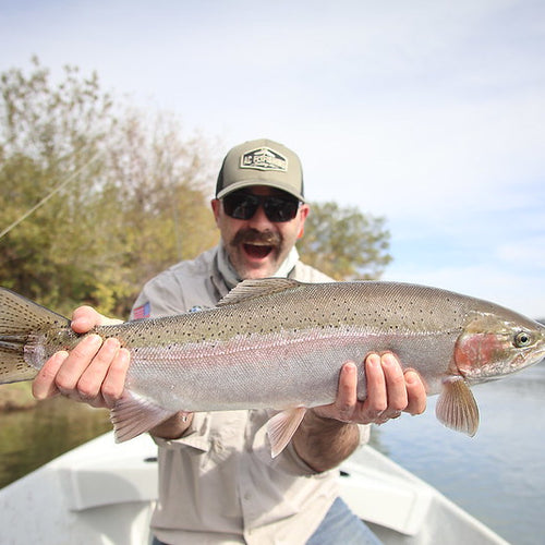 Northern California Fly Fishing Report