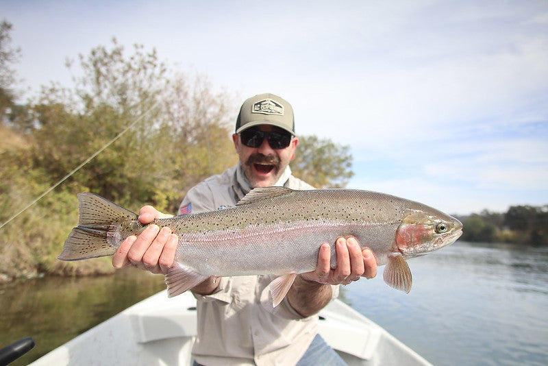 Northern California Fly Fishing Report