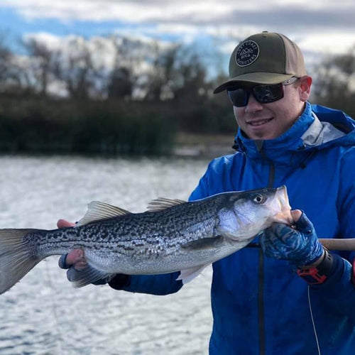 Local Surf Fly Fishing Report