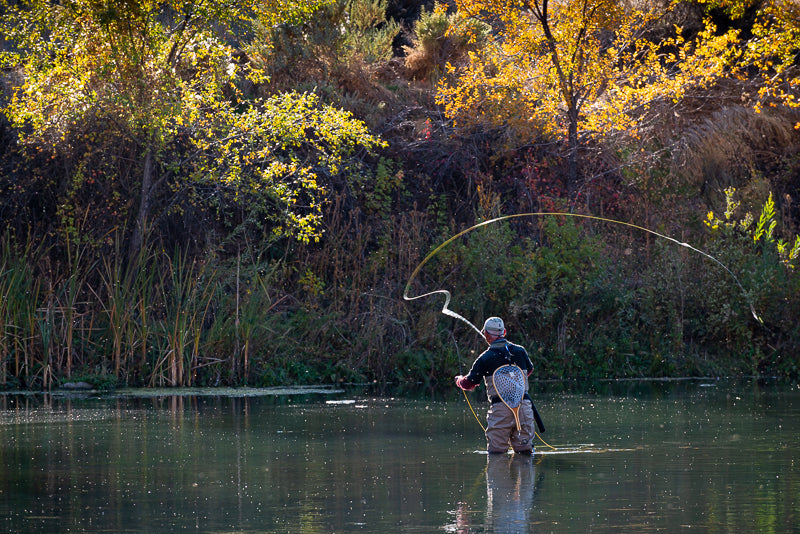 Eastern Sierra Fly Fishing Report