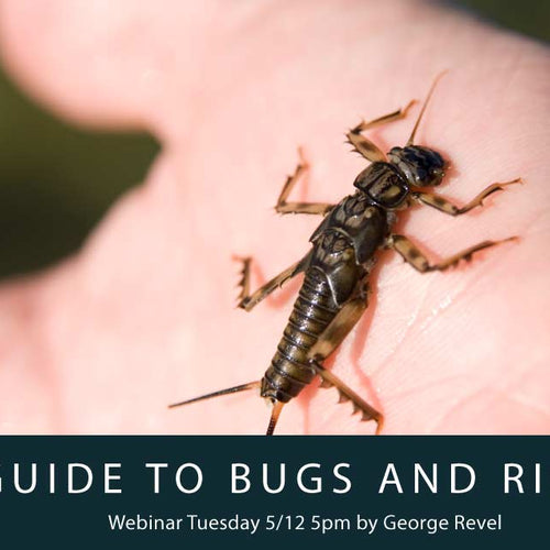 LCO's Guide To Bugs & Rigging
