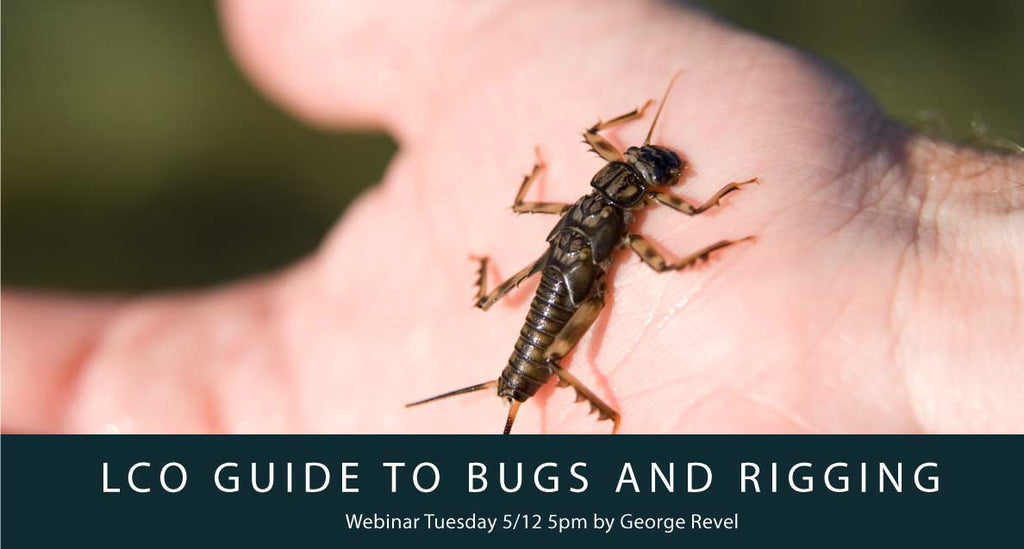LCO's Guide To Bugs & Rigging