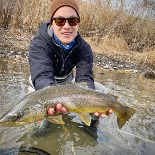 Truckee River Fly Fishing Report