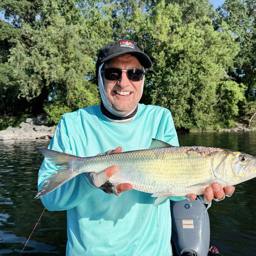 American River Fly Fishing Report