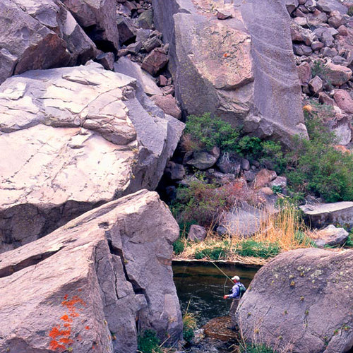 Eastern Sierra Fly Fishing Report