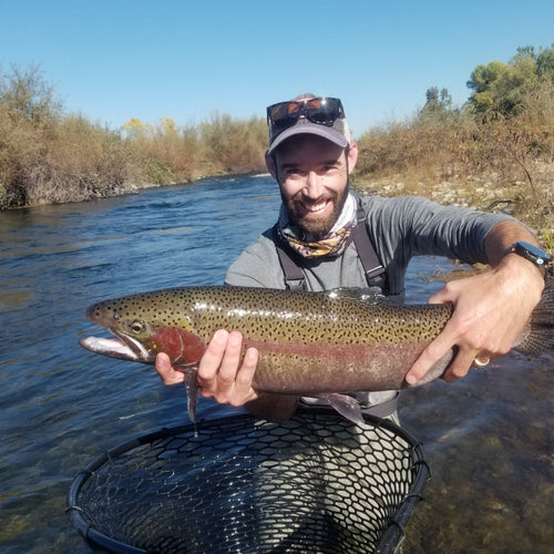 Feather River Fly Fishing Report
