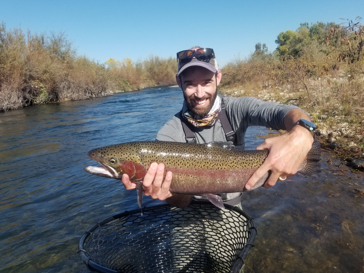 Feather River Fly Fishing Report