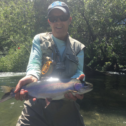 Putah Creek Fly Fishing Report