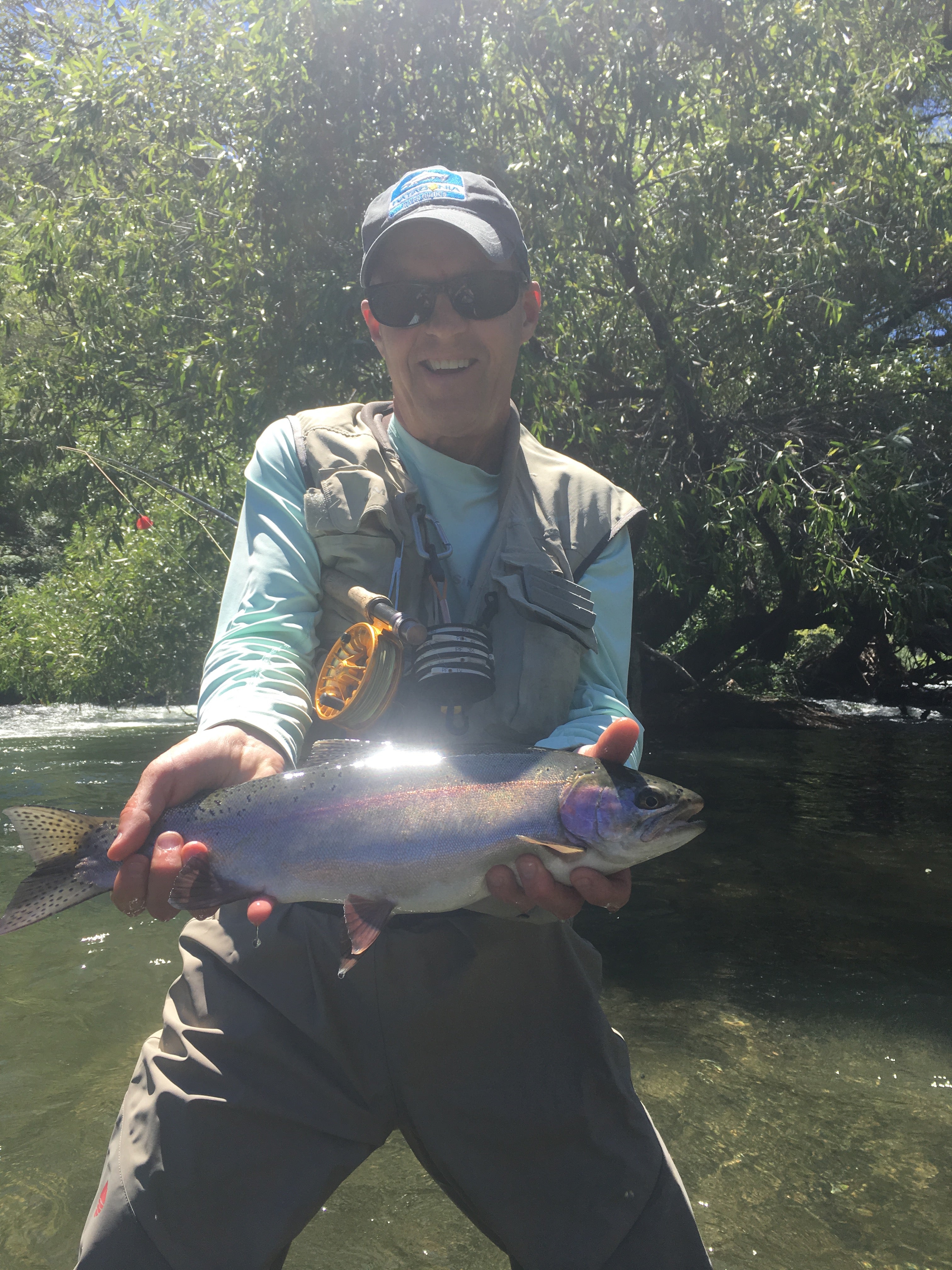 Putah Creek Fly Fishing Report