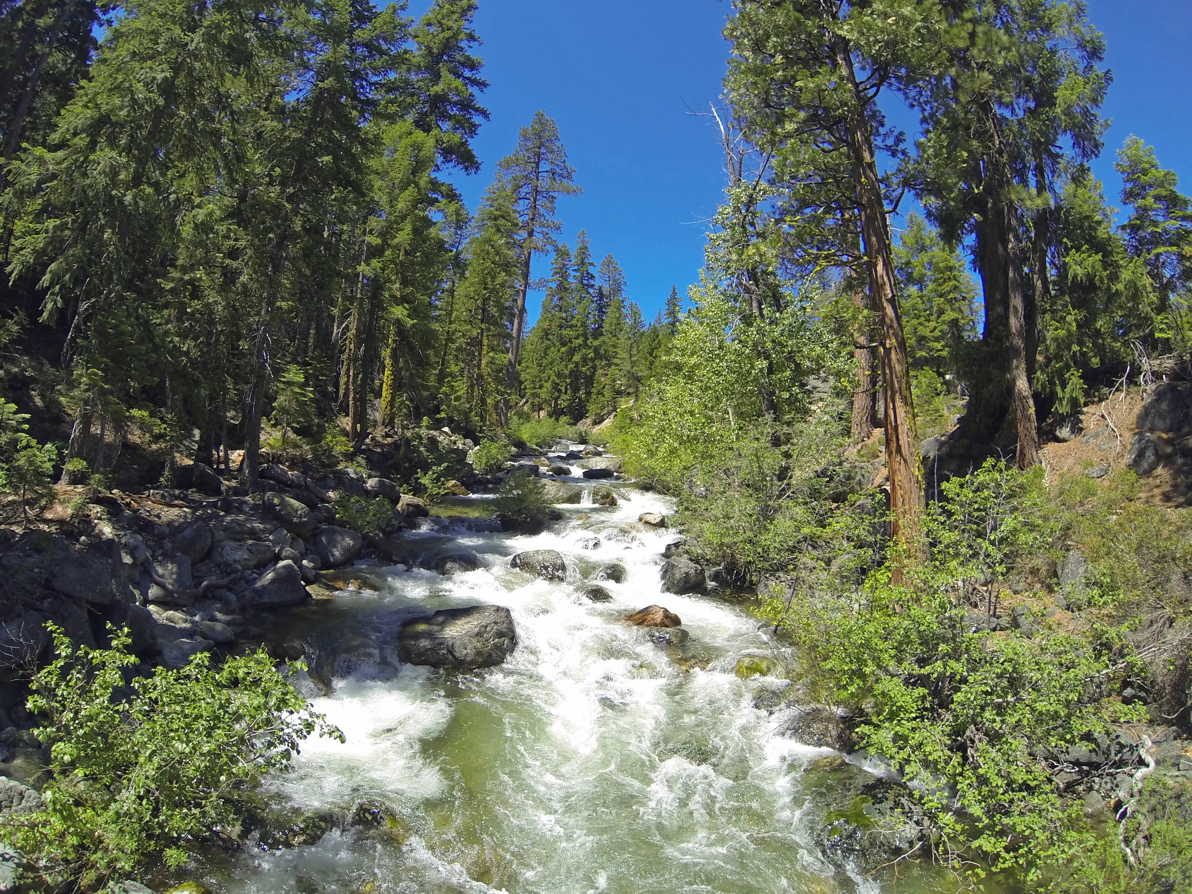 Eastern Plumes Creek Fly Fishing Report