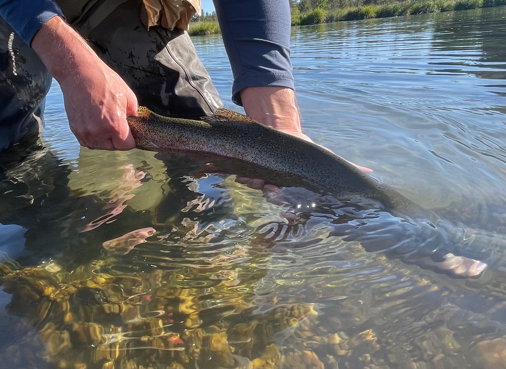 Hat Creek Fly Fishing Report