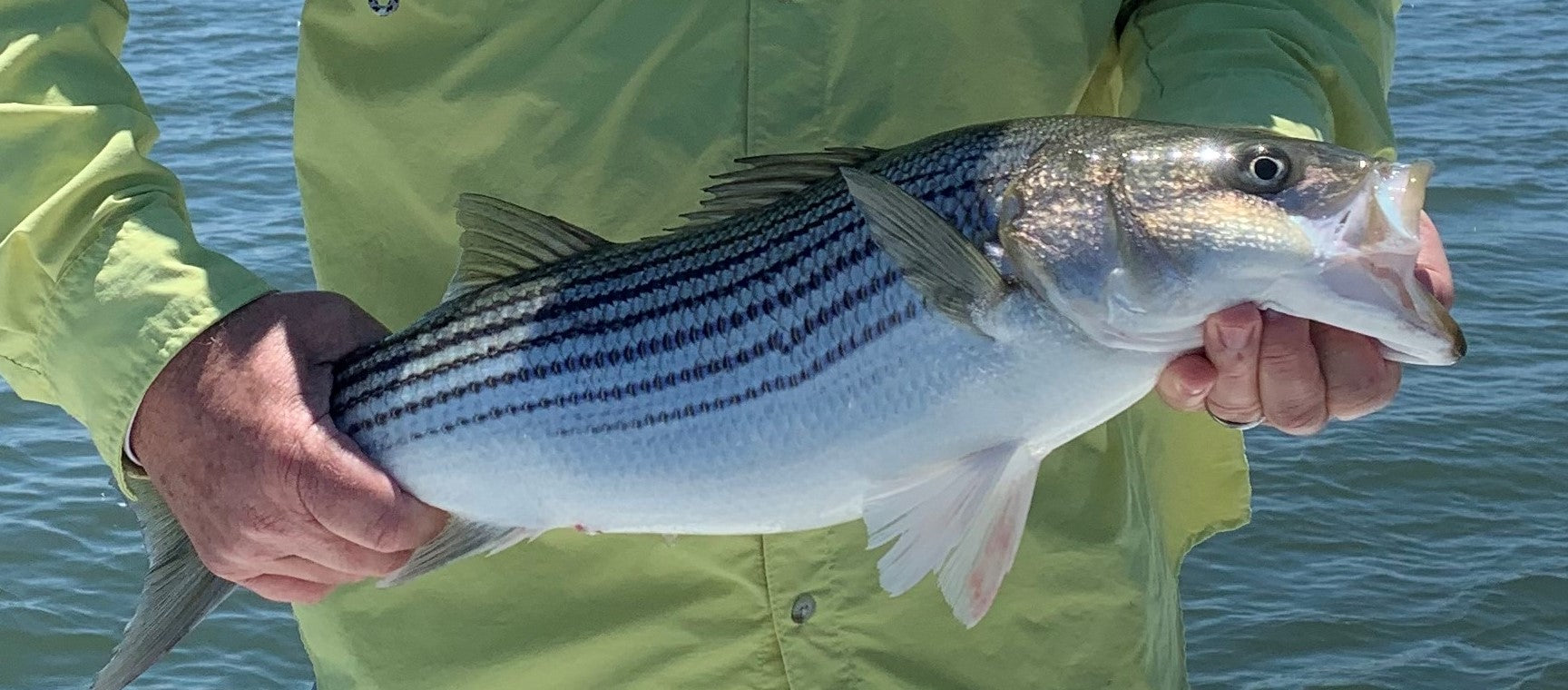 California Delta Fly Fishing Report