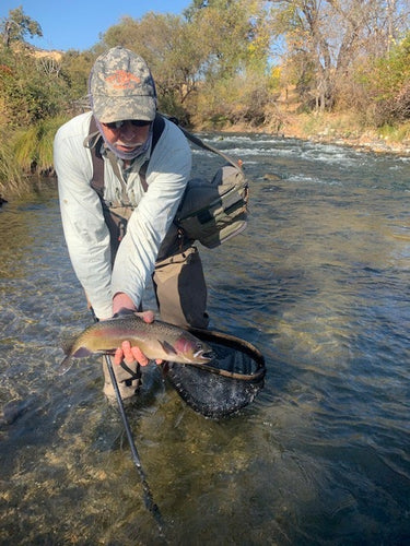 Putah Creek Fly Fishing Report