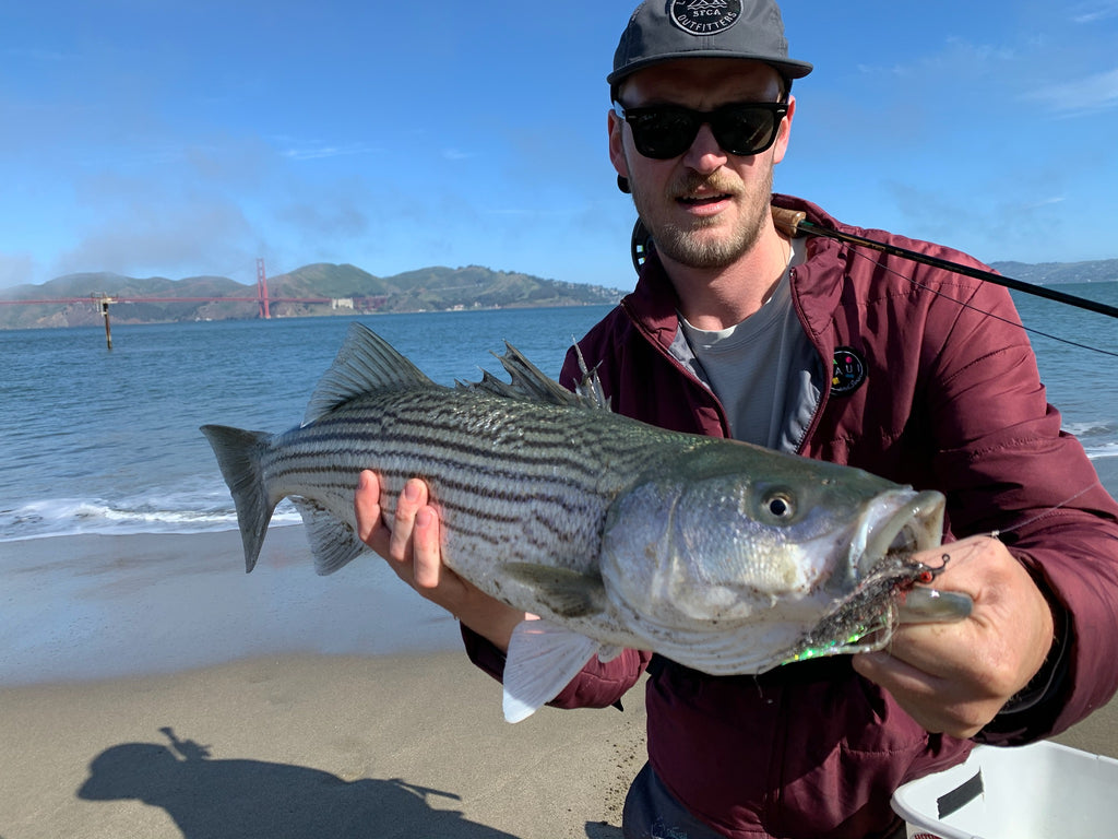 Local Surf Fly Fishing Report