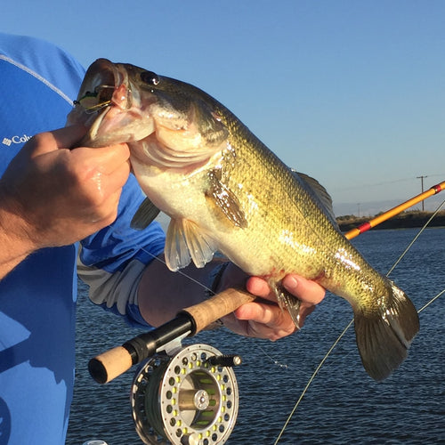 Delta Fly Fishing Report