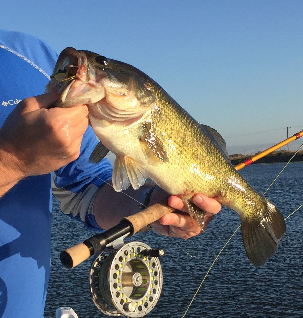 Delta Fly Fishing Report