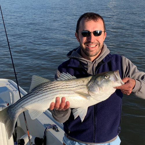 California Delta Fly Fishing Report