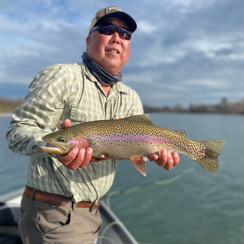 Trinity and Lower Sacramento River Fly Fishing Report