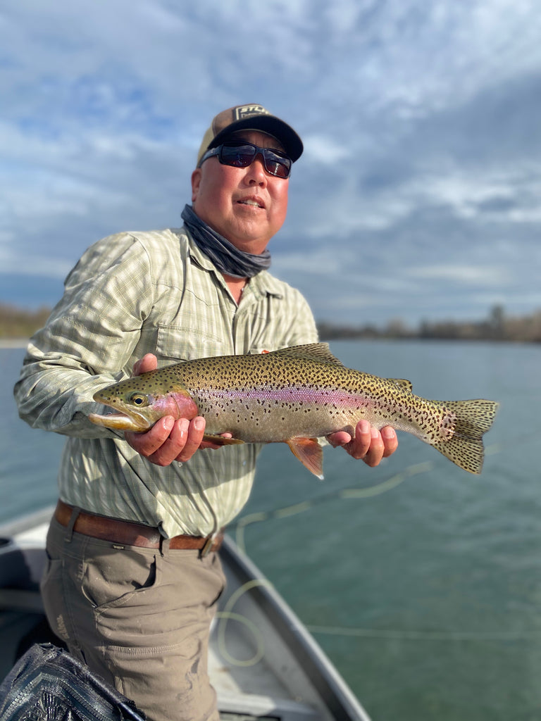 Trinity and Lower Sacramento River Fly Fishing Report