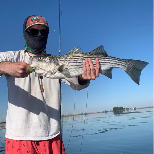 California Delta Fly Fishing Report