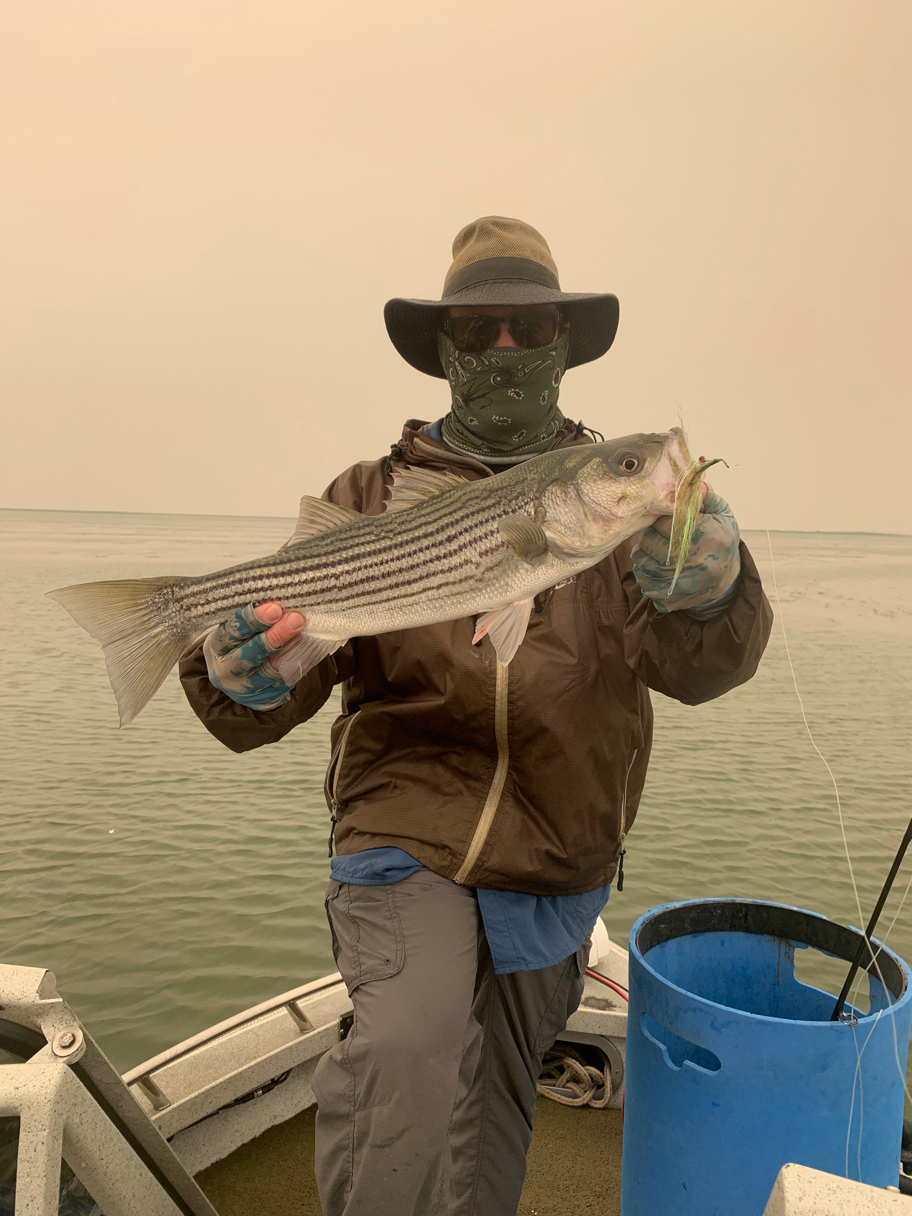 California Delta Fly Fishing Report