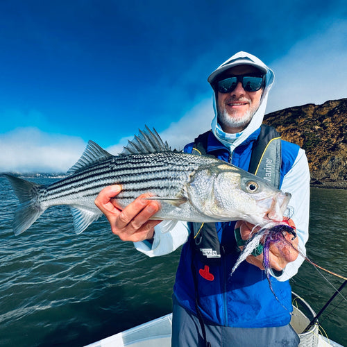 Local Striper Fly Fishing Report