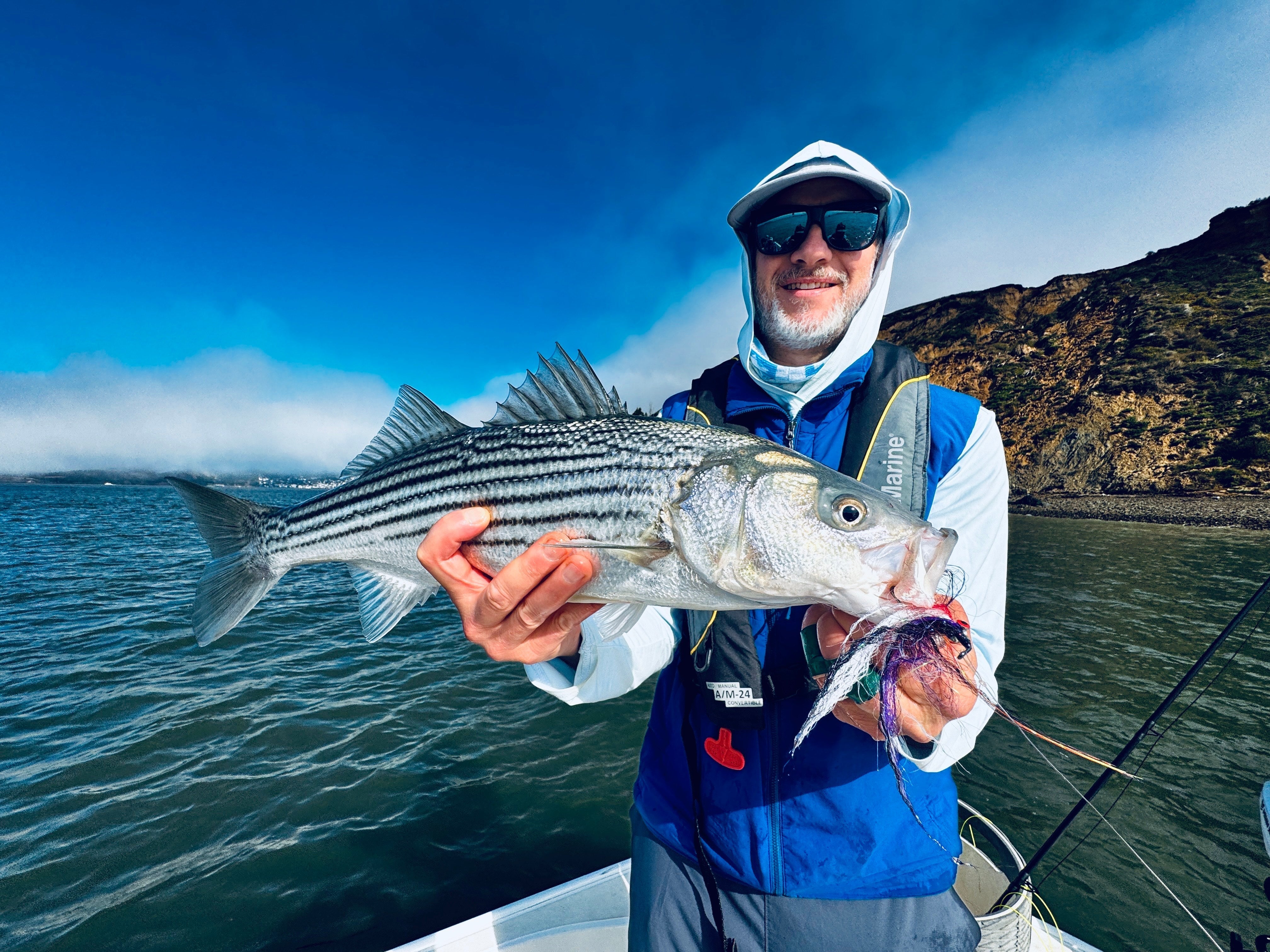 Local Striper Fly Fishing Report