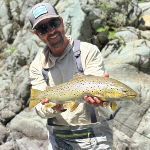 McCloud River & Upper Sac Fly Fishing Report