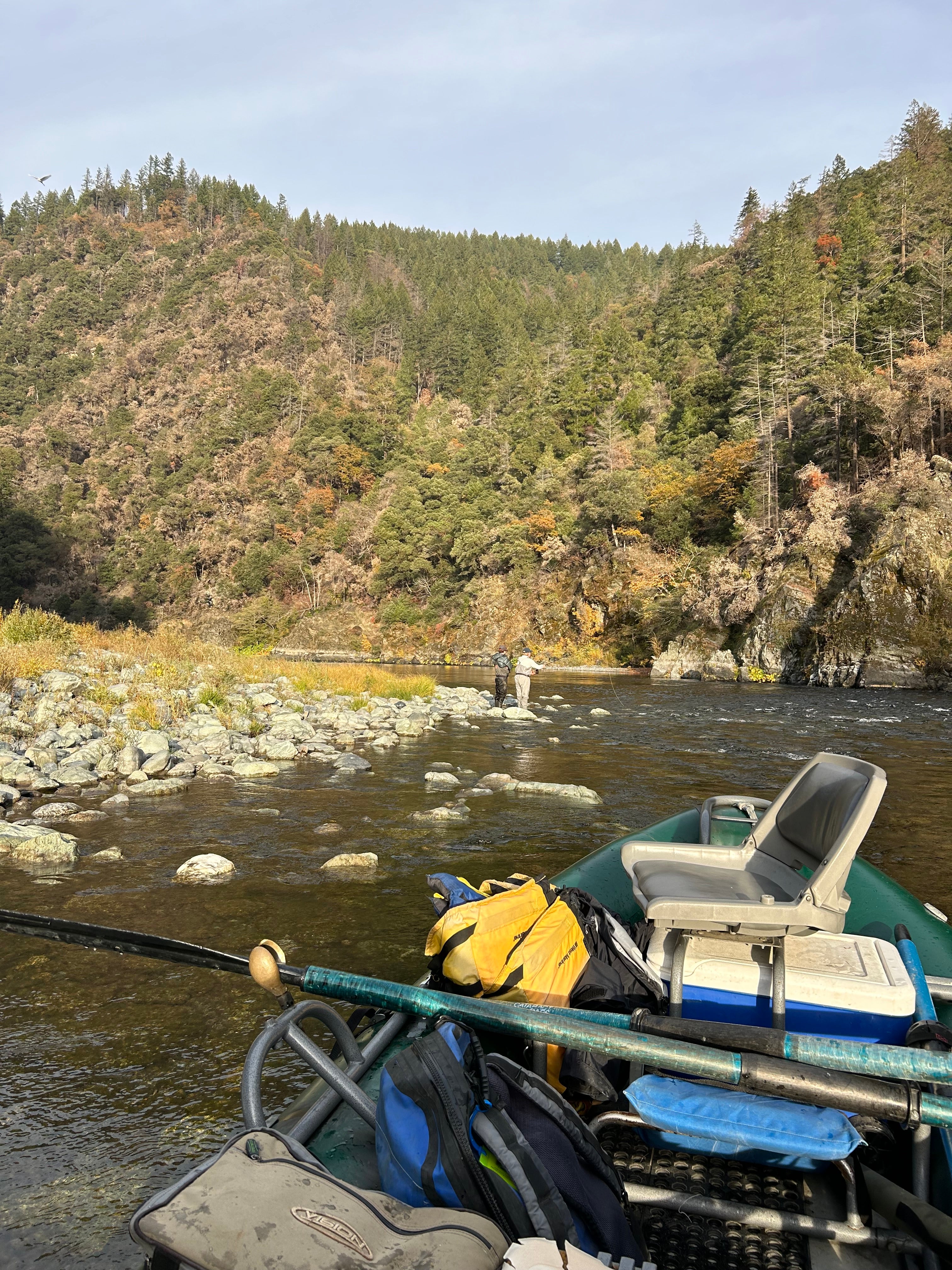 Trinity River Fly Fishing Report