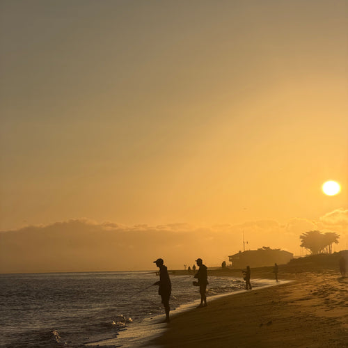 Local Surf & Bay Fly Fishing Report
