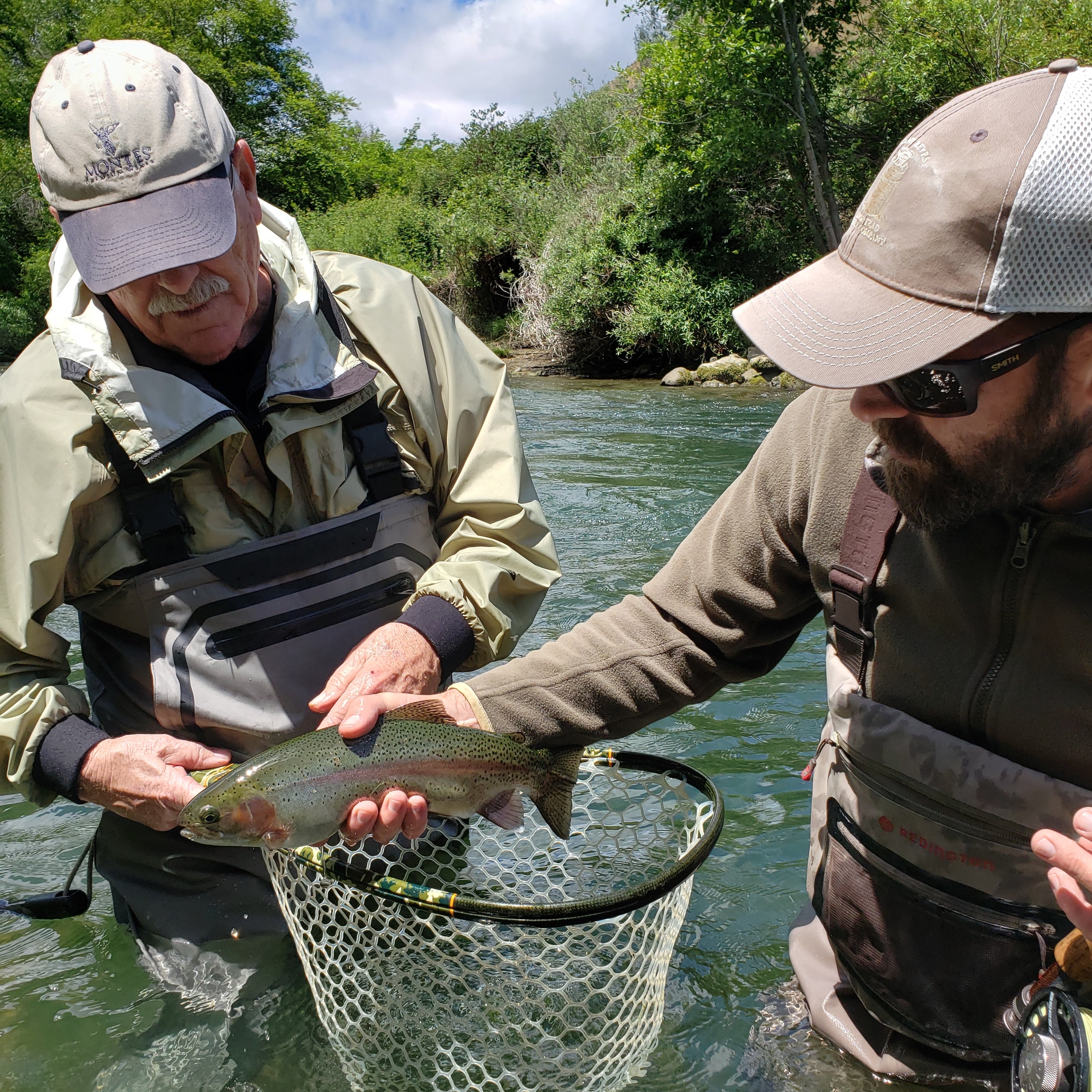 Putah Creek Fly Fishing Report