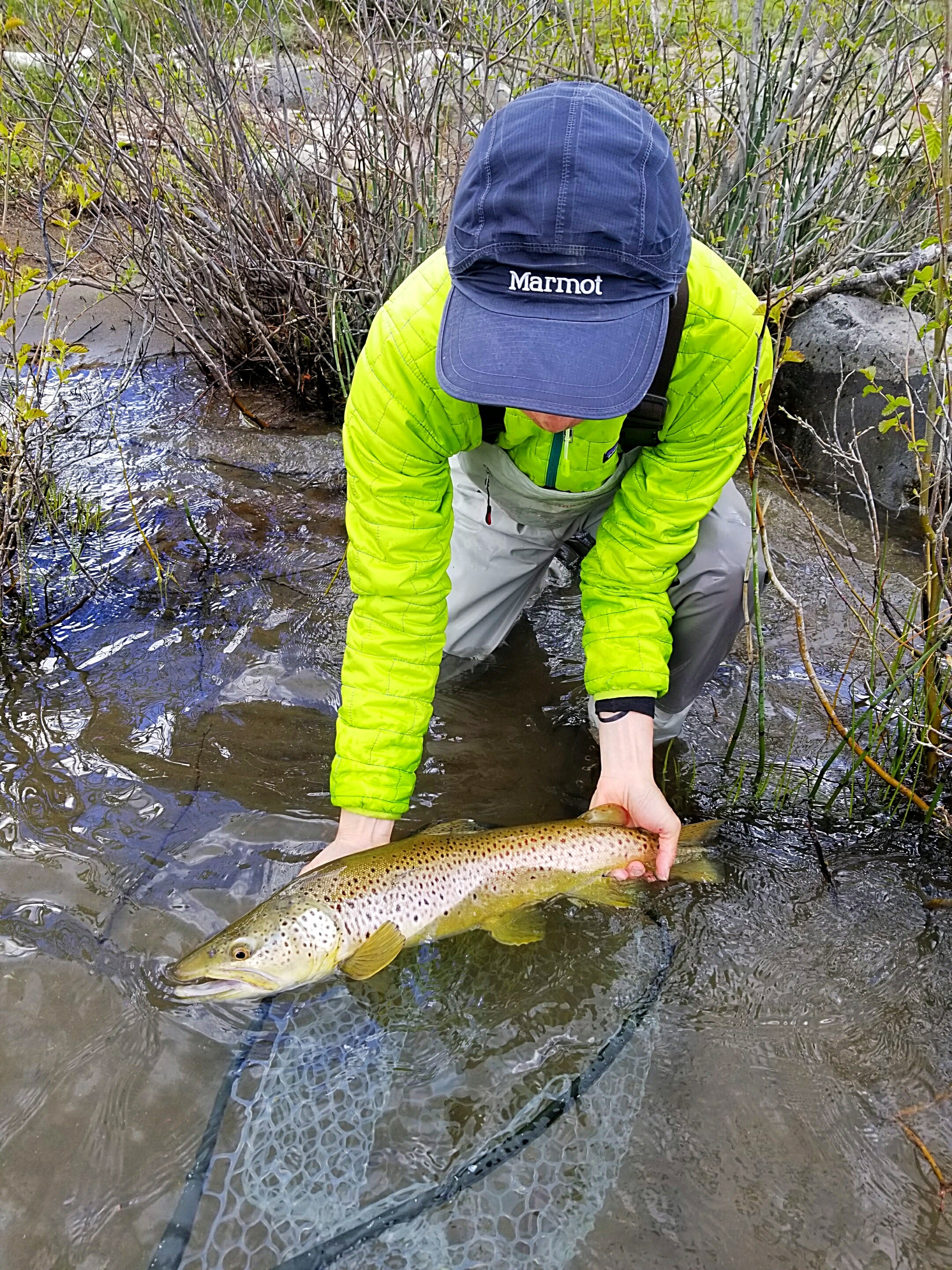 Truckee River Fly Fishing Report