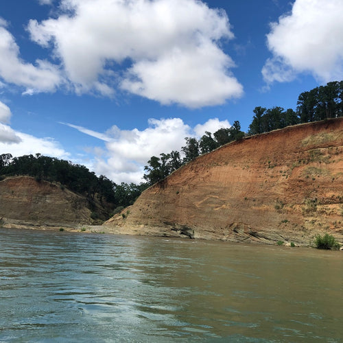 Lower Sacramento Fly Fishing Report