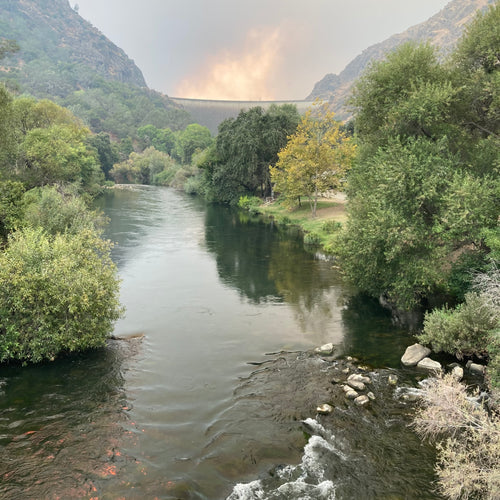 Putah Creek Fly Fishing Report