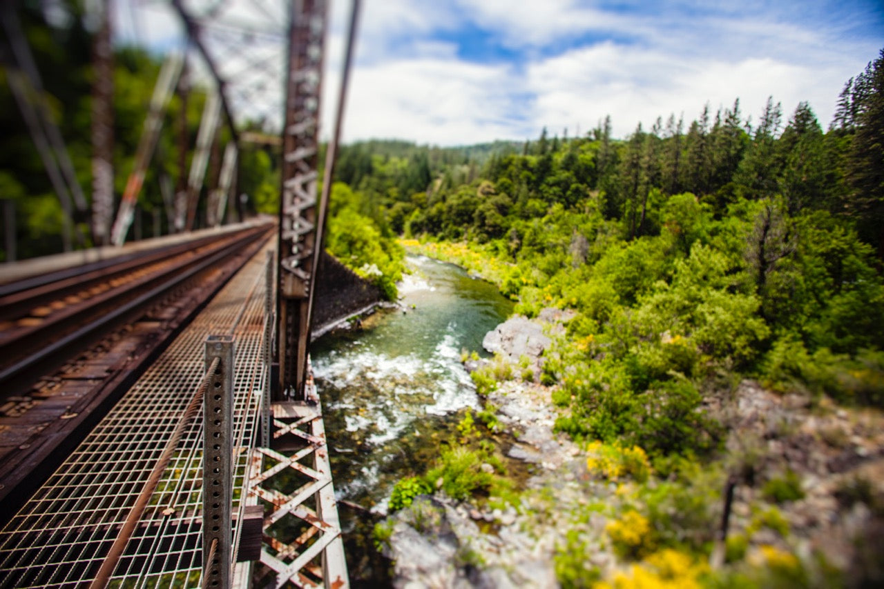 Upper Sacramento Fly Fishing Report