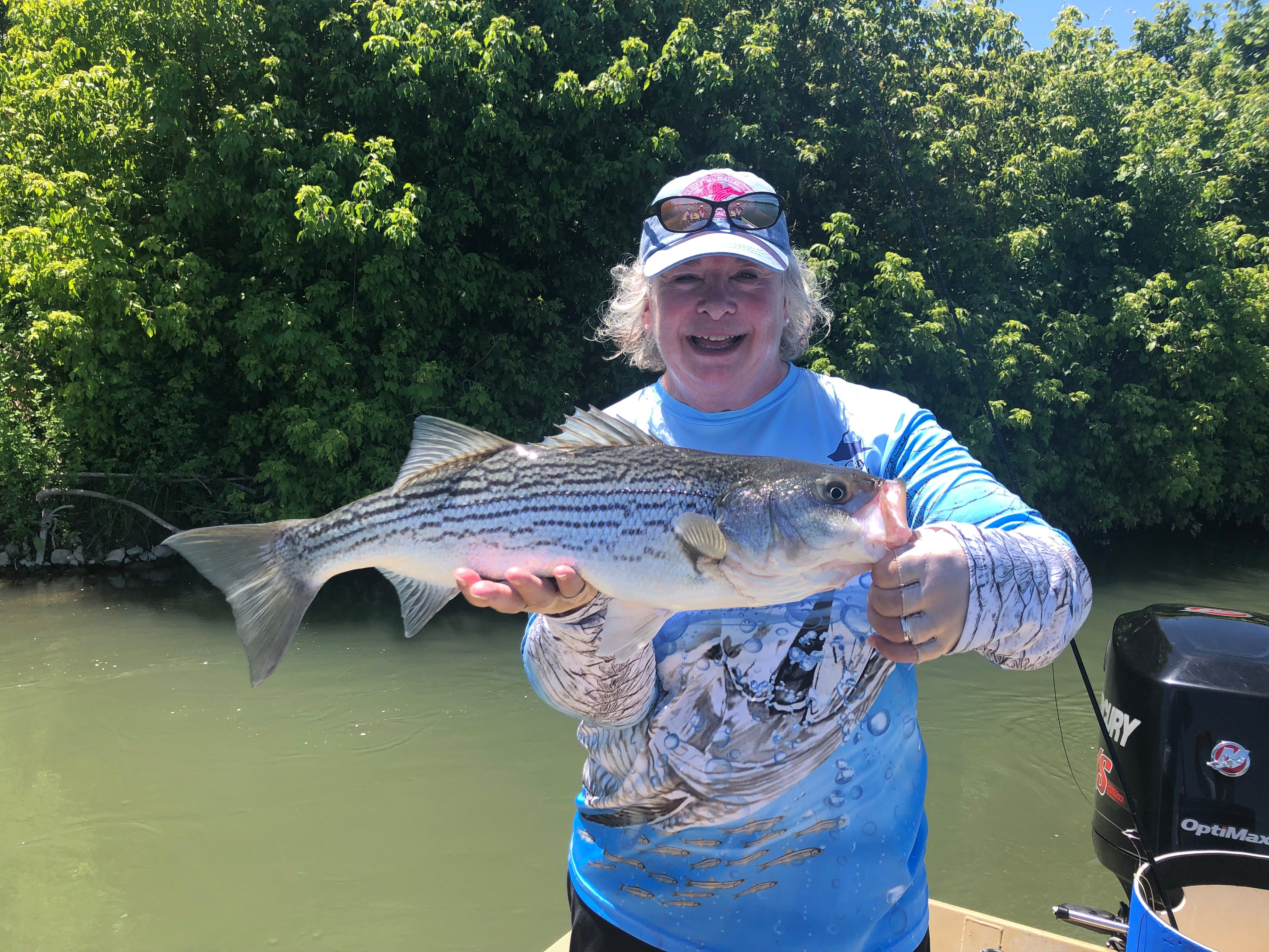 Lower Sacramento Striper Fly Fishing Report