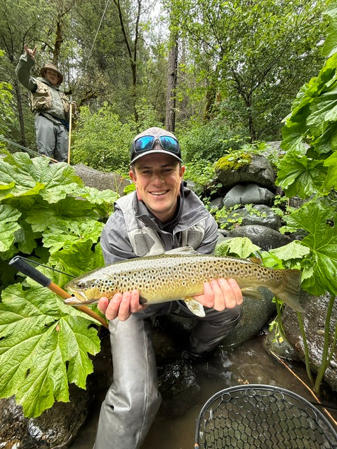 Upper Sac & McCloud Fly Fishing Report