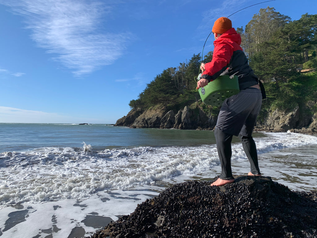 Local Surf Fly Fishing Report