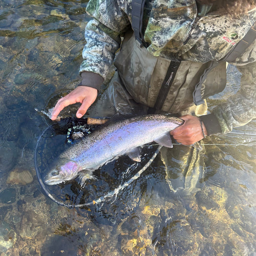 Trinity River Fly Fishing Report